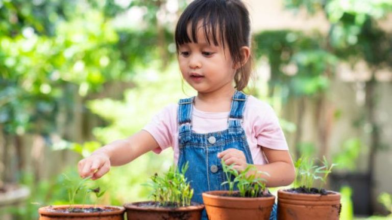 Cara Mengajari Anak Agar Menjaga Dan Mencintai Lingkungan